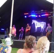 Village Pump 2014