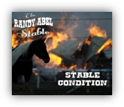 STABLE CONDITION_Front