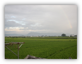 2015-8-Xizhou Rainbow_2.JPG